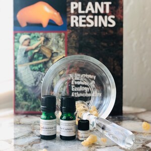 Incenso Carterii Olio Essenziale Distillere Diretto Boswellia carterii Supporto Immunitario Pino Fresco Burseraceae Incenso Balsamico Spirituale