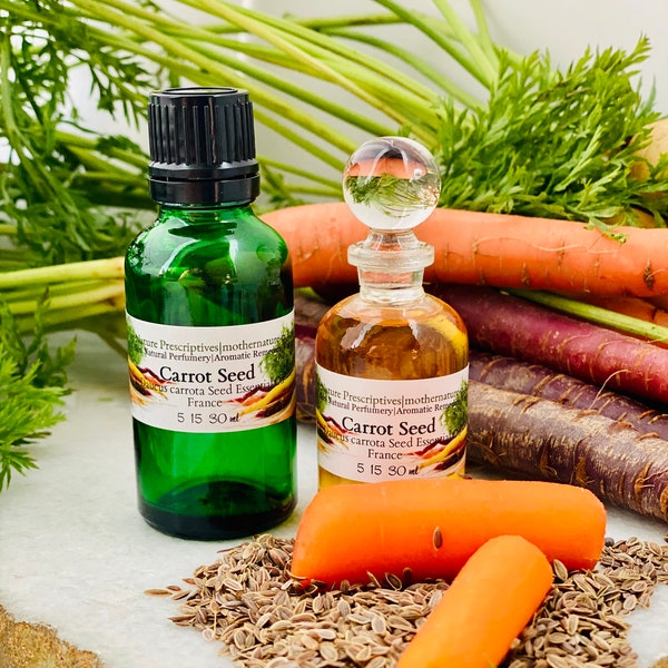 Carrot seed Essential Oil  Daucus carota France Root and Woody Notes Sweet Top Note Asian Note Blends Acne Breakout Care Maskne Skin Support