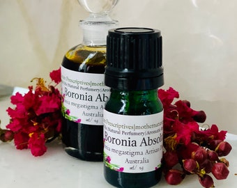 Aceite absoluto de Boronia, destilado artesanalmente en Australia, Boronia megastigma, frambuesa, fresia y albaricoque, perfume botánico, aceite floral.