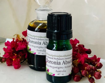 Boronia Absolute Oil Rare Artisan Distilled Australia Boronia megastigma Aromatherapy DIY Botanical Perfume Flower Oil Fruity Floral