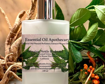 Nettle Hydrosol Wild Urtica dioica Distilled In Our Apothecary Locally Foraged Sustainable Spring Herb