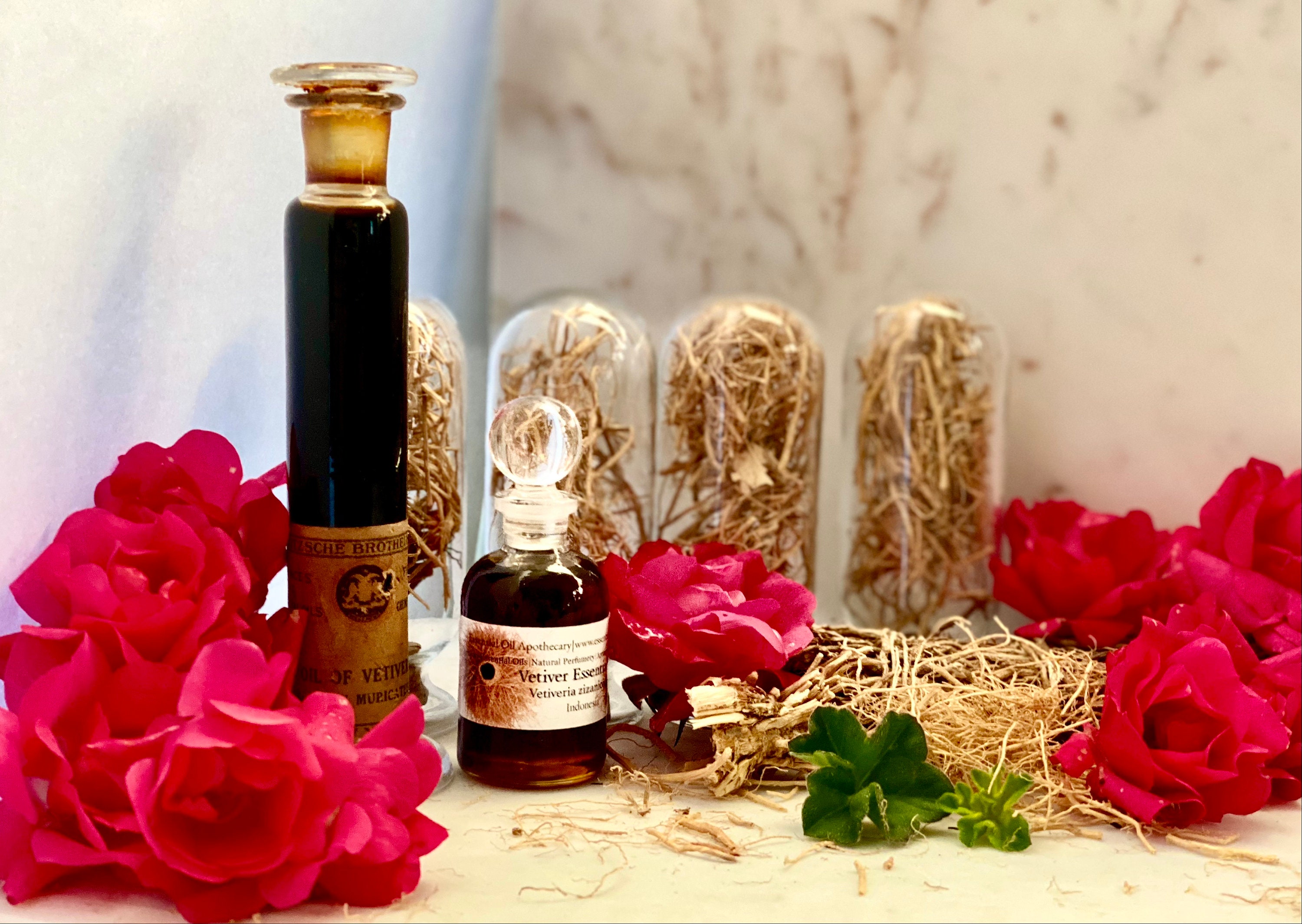 Vetiver Essential Oil Indonesia Vetiver Zizanioides Java Wine