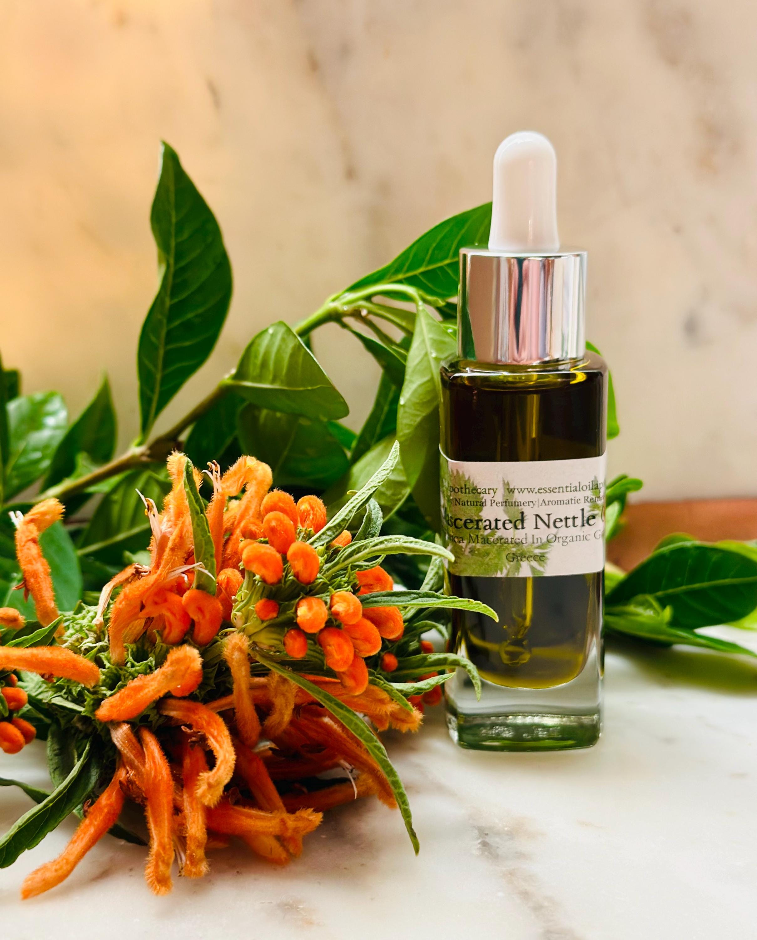 Nettle Oil Urtica Dioica Small Production Greek Olive Oil Infusion