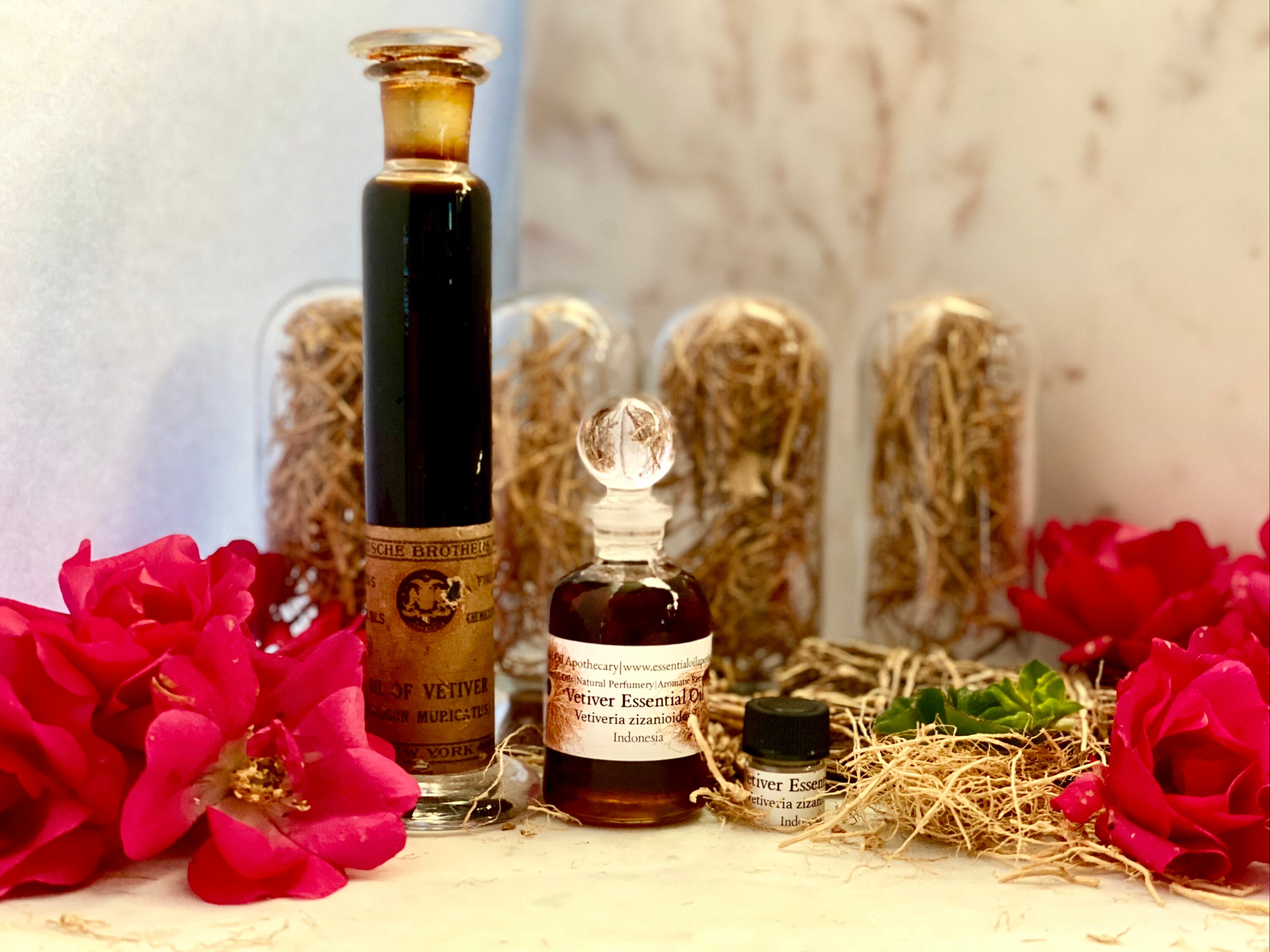 Vetiver Essential Oil Indonesia Vetiver Zizanioides Java Wine