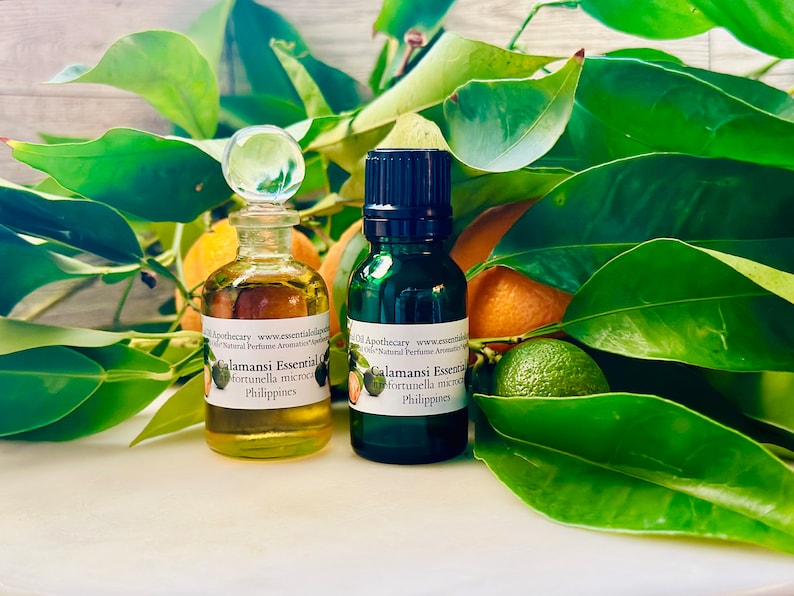 Op de afbeelding: Twee kleine glazen flesjes etherische olie met etiketten met de tekst "Calamansi Essential Oil" en "Philippines". E&eacute;n flesje heeft een doorzichtige stopper, de andere een zwarte dop. De flesjes zijn omgeven door groene bladeren, sinaasappels en een limoen.