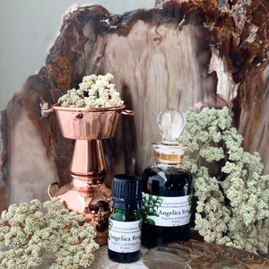 May include: An arrangement featuring two glass bottles of Angelica Root essential oil, a copper vessel with dried flowers, and a fossil. The bottles have labels with the text "Angelica Root" and "France". The background includes a large piece of petrified wood.