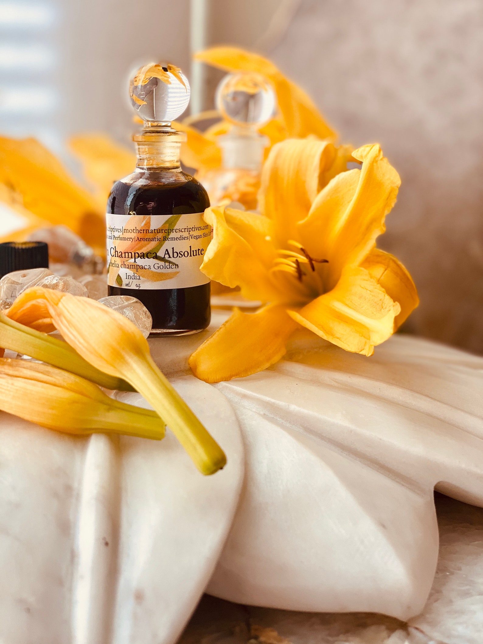 Golden Champaca Absolute Oil Michelia Champaca India Fruit - Etsy
