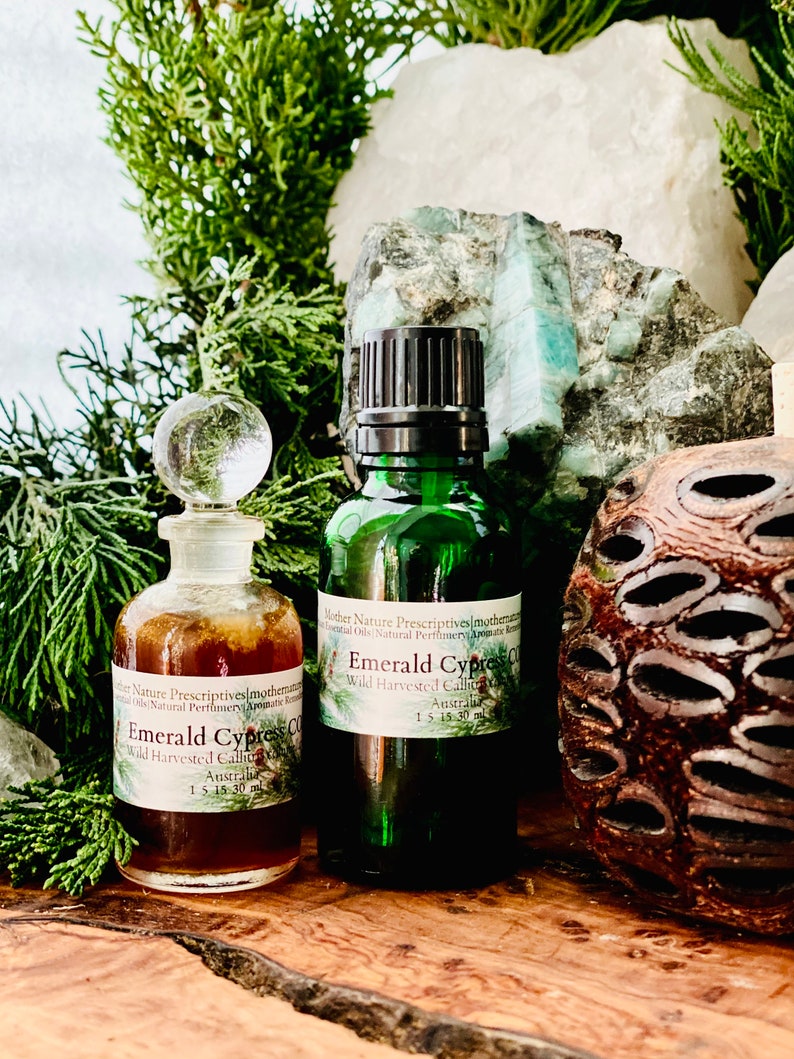 Emerald Cypress CO2 Callitris columellaris Supports Respiratory Skin Conditions Meditation Fresh Mint Pine Scent Murray River Cypress Pine 30 Milliliters