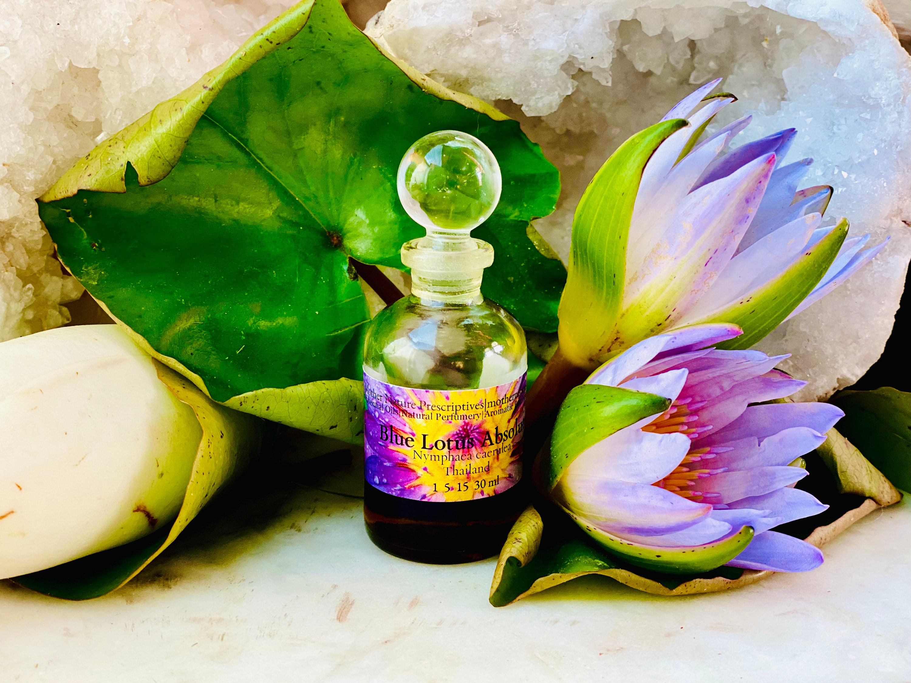 Blue Lotus Absolute Thailand Hexane Free Rare Small Production Nymphaea  Caerulea Chakra Anointing Hallucination Meditation Perfume Oil 