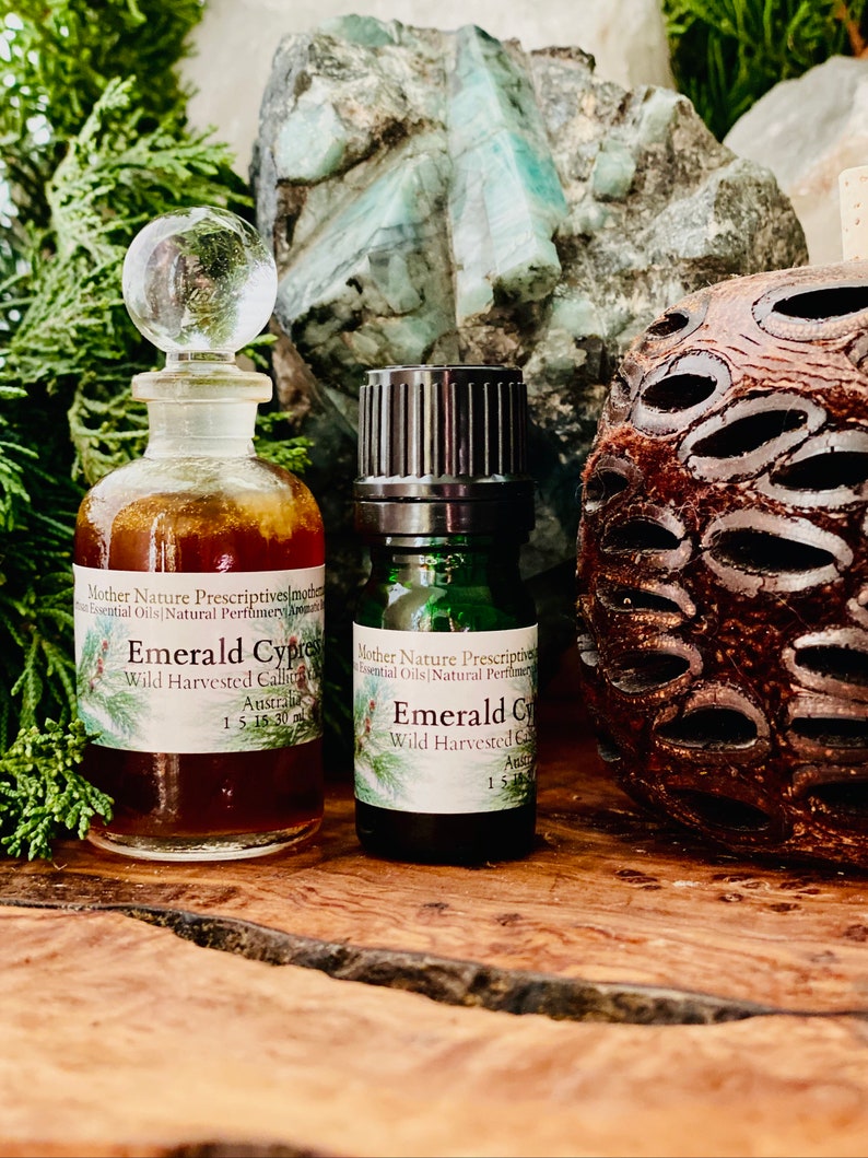 Emerald Cypress CO2 Callitris columellaris Supports Respiratory Skin Conditions Meditation Fresh Mint Pine Scent Murray River Cypress Pine 5 Milliliters