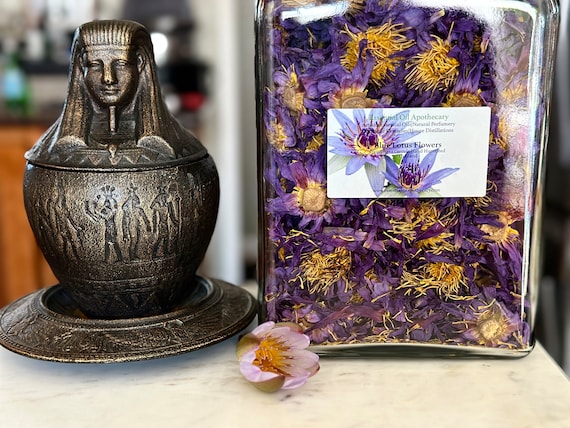 Blue Lotus Whole Flowers Dried Organic Blue Lotus From Our Artisan