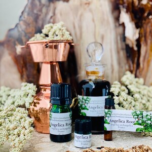 May include: An arrangement of essential oil bottles and a copper still. The bottles are labeled "Angelica Root" and "Angelica archangelica France." The background features dried flowers and a wooden surface.