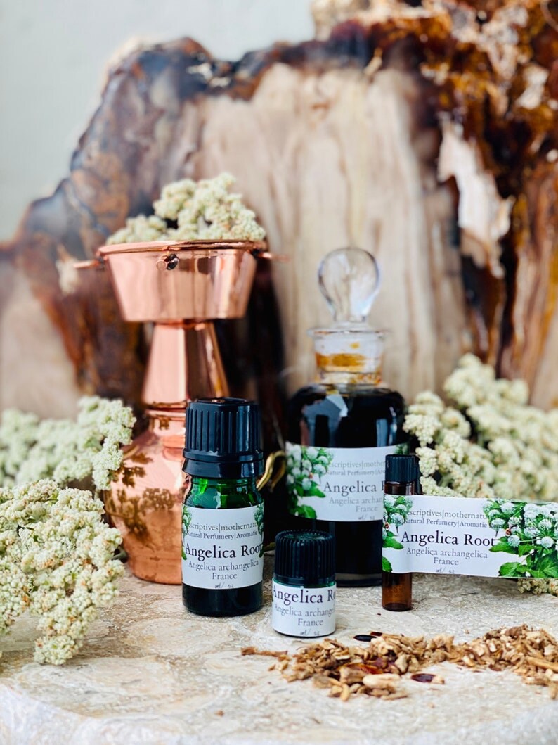 May include: An arrangement of essential oil bottles and a copper still. The bottles are labeled "Angelica Root" and "Angelica archangelica France." The background features dried flowers and a wooden surface.