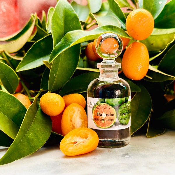 Dalandan (Citrus aurantium) Huile essentielle Huile d’orange philippine Petit distillateur Notes d’agrumes propres Agrumes rares Parfumerie naturelle Soins de la peau