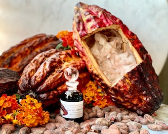 Cacao Absolute Oil  France  Chocolate Cocoa Absolute Theobroma Cacao  Hexane Free Rich Chocolate Aroma Natural Perfumery  Food Grade