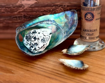 Ambergris Fine White First Grade Premium Beach Found Civet Notes Bahamas Aged True Amber Seaweed|Superb Fixative|Mossy|Sweet Indole|Fragrant