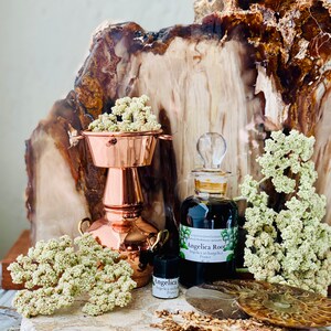 May include: A still life arrangement featuring a copper distiller, glass bottles, and dried flowers. One bottle is labeled "Angelica Root." The composition includes a stone slab, a fossil, and wood pieces, creating a natural, apothecary aesthetic.