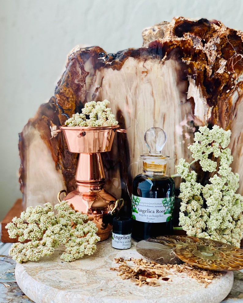 May include: A still life arrangement featuring a copper distiller, glass bottles, and dried flowers. One bottle is labeled "Angelica Root." The composition includes a stone slab, a fossil, and wood pieces, creating a natural, apothecary aesthetic.