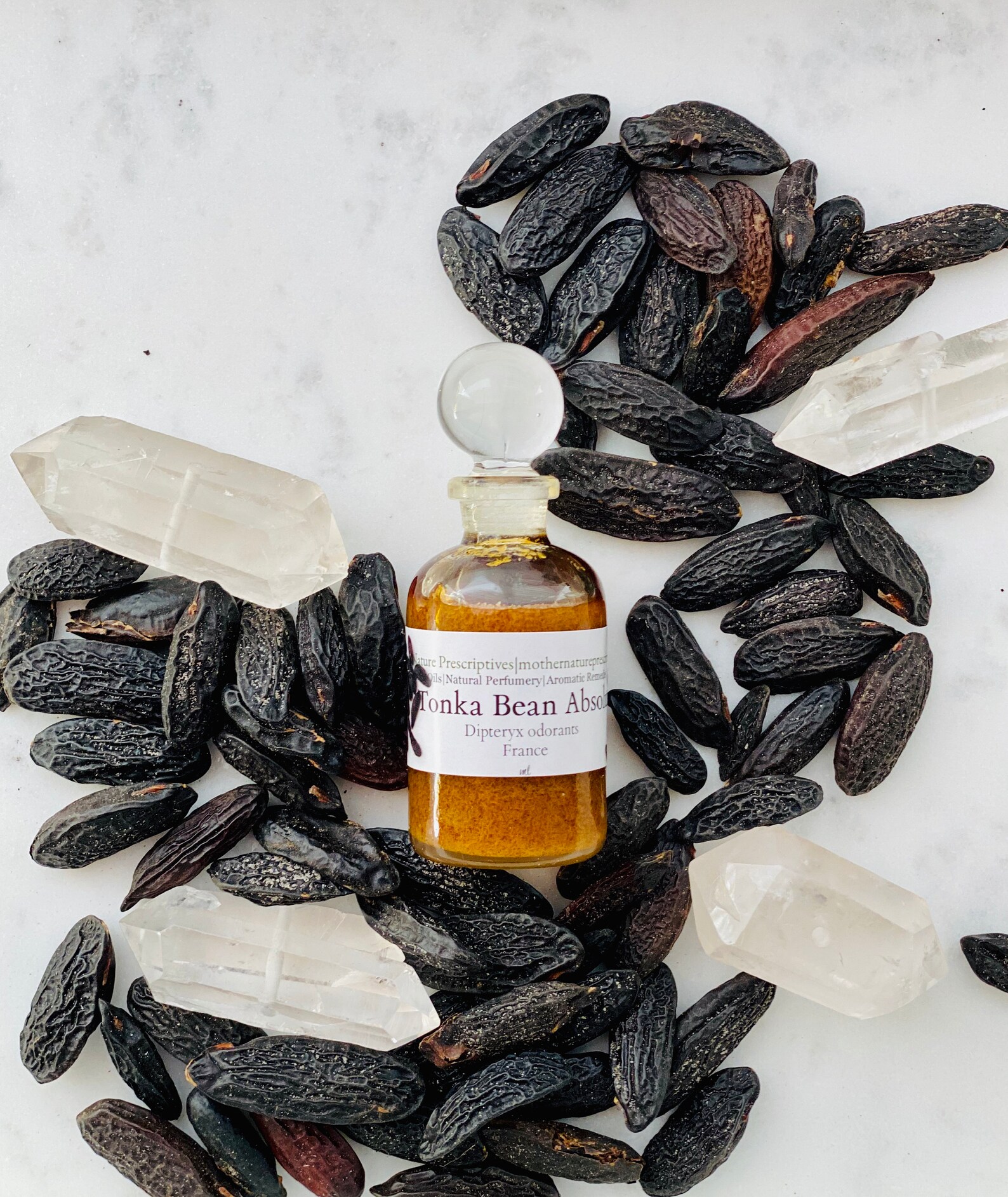 Tonka Bean Absolute Oil Thick Fragrant Fresh Harvested Tonka Etsy