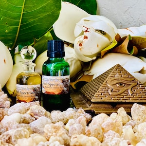 Incenso Carterii Olio a spettro completo Resina infusa Acido boswellico Boswellia carterii Birdwood Burseraceae Somalia Olibanum Al Luban