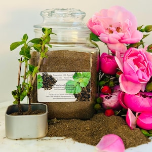 May include: A clear glass jar filled with brown patchouli leaves, labeled "Essential Oil Apothecary Patchouli Leaves." A small potted plant and pink roses with green stems and leaves are in the foreground.