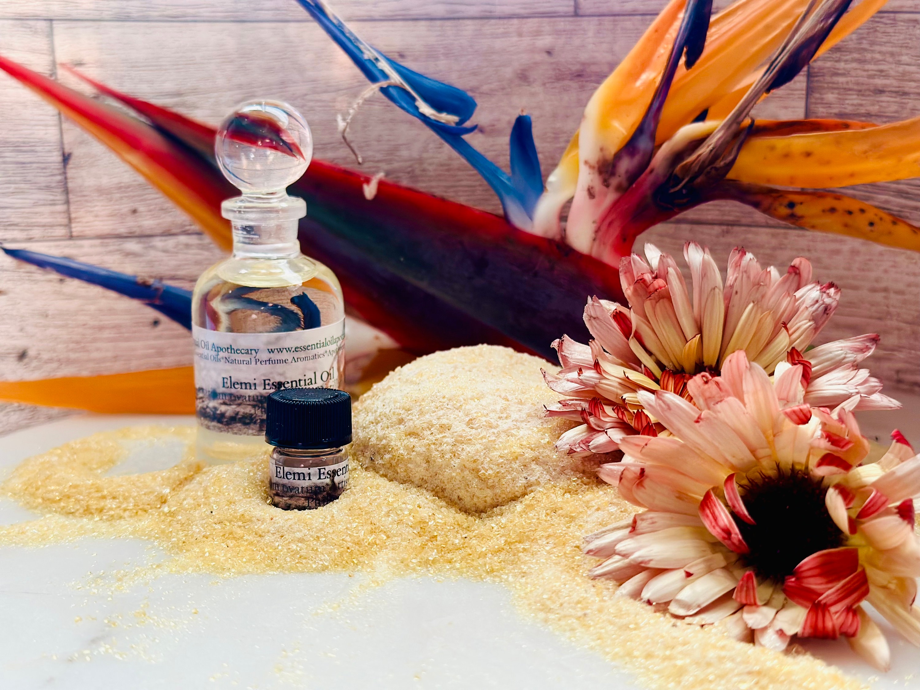 Pagsahingin Bulog Tree Elemi Essential Oil Canarium Luzonicum Resin Artisan Distillation ...