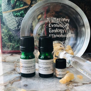 Frankincense Carterii Essential Oil Distiller Direct Boswellia carterii Immune Support Fresh Pine Burseraceae Incense Balsamic Spiritual 5 Milliliters