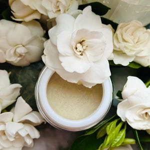May include: A jar of cream is surrounded by white gardenia flowers and green leaves. The cream jar has a white rim and a light beige interior. The gardenias are in full bloom, with multiple petals and a yellow center.