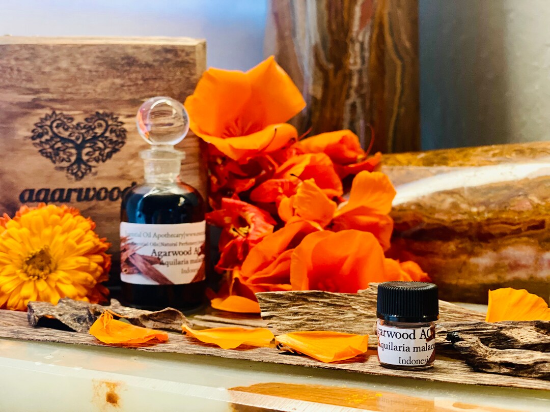Huile De Oud (Oudh) - Aquilaria De Sumbawa Indonésie, 100 ML, Pure Et Neuve