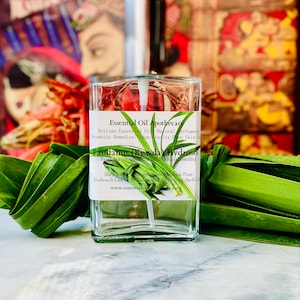 Pandanus (Kewda) Hydrosol Pandanus odoratissimus  Hydrolat India  Artisan Distillation Kewda Screw pine  Kewra  Kevada  Keya  Asian Vanilla