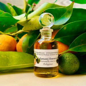 Op de afbeelding: Een kleine glazen fles Calamansi essenti&euml;le olie met een doorzichtige glazen stopper. De fles is omgeven door groene bladeren, sinaasappels en een groene limoen. Het etiket luidt "Calamansi Essential Oil, Citrus microcarpa, Philippines."