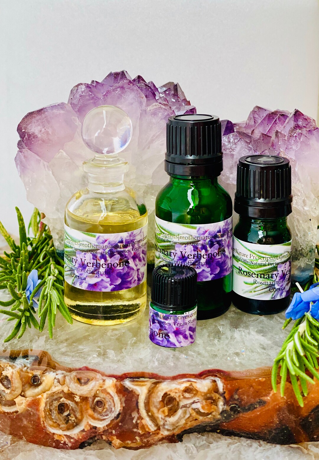 Premium Rosemary Essential Oil Verbenone Corsica Romarinus Officinalis