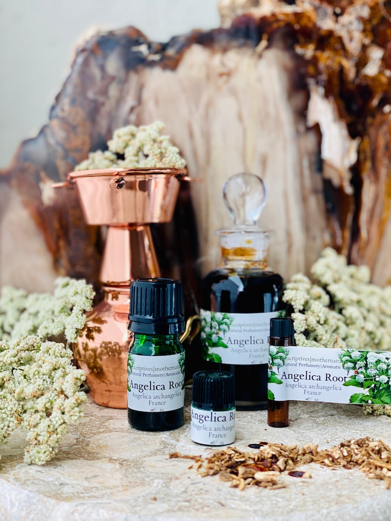 May include: An arrangement of essential oil bottles and a copper still. The bottles are labeled "Angelica Root" and "Angelica archangelica France." The copper still has a small bowl filled with dried flowers. The background is a wooden surface.