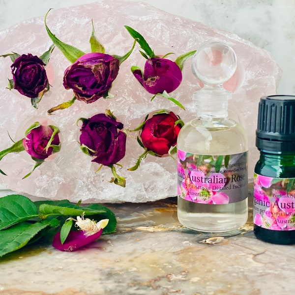 Rose Essential Oil  Leptospermum petersonii  Rosy Geranium Notes Artisan Distilled  From Australia   Geraniol  Rose Aroma Single Plantation