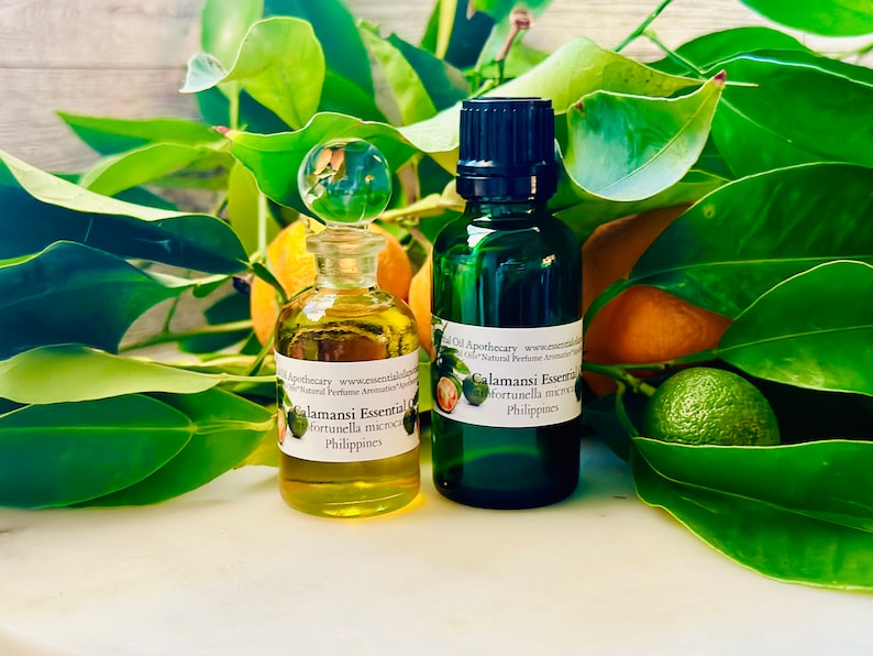 Op de afbeelding: Twee flessen Calamansi essenti&euml;le olie, &eacute;&eacute;n helder glas met een glazen stopper en &eacute;&eacute;n groene glazen fles met een zwarte dop. De flessen zijn omgeven door groene bladeren en citrusvruchten. De etiketten luiden "Calamansi Essential Oil".