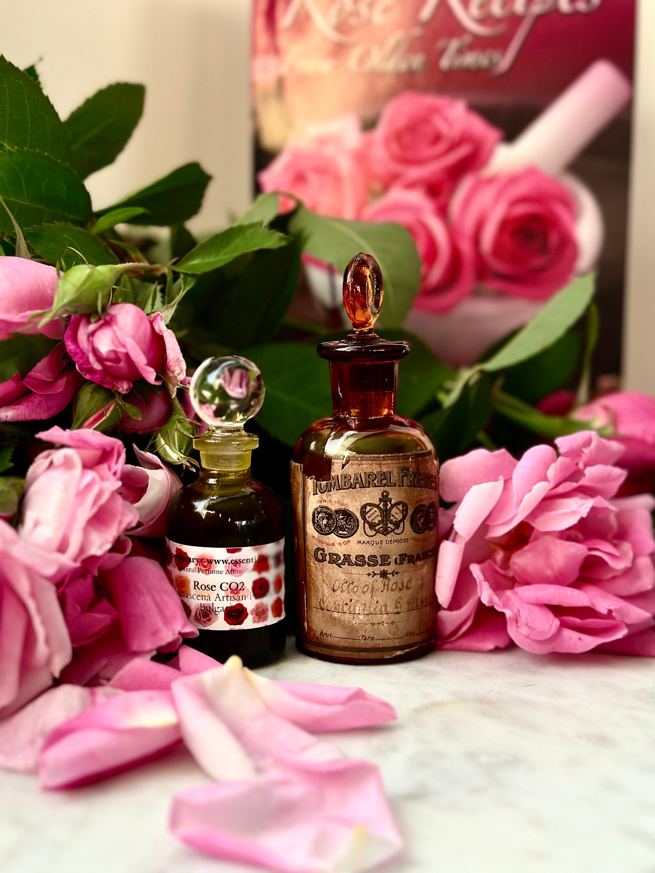Rose CO2 Oil Rosa X Damascena CO2 Bulgaria Damask Rose Cold
