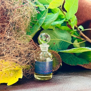 Smoke Tree Essential Oil Cotinus coggygria Bulgaria Artisan Distillation Smoke Bush Perfume Aromatherapy Forest Oak Tetra Chinese Medicine