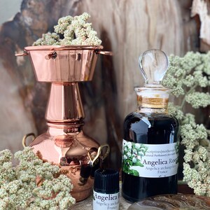 May include: A copper still with a small bottle and a larger bottle of Angelica Root essential oil. The bottles have labels with the text "Angelica Root" and "Angelica archangelica France". Dried flowers surround the bottles.