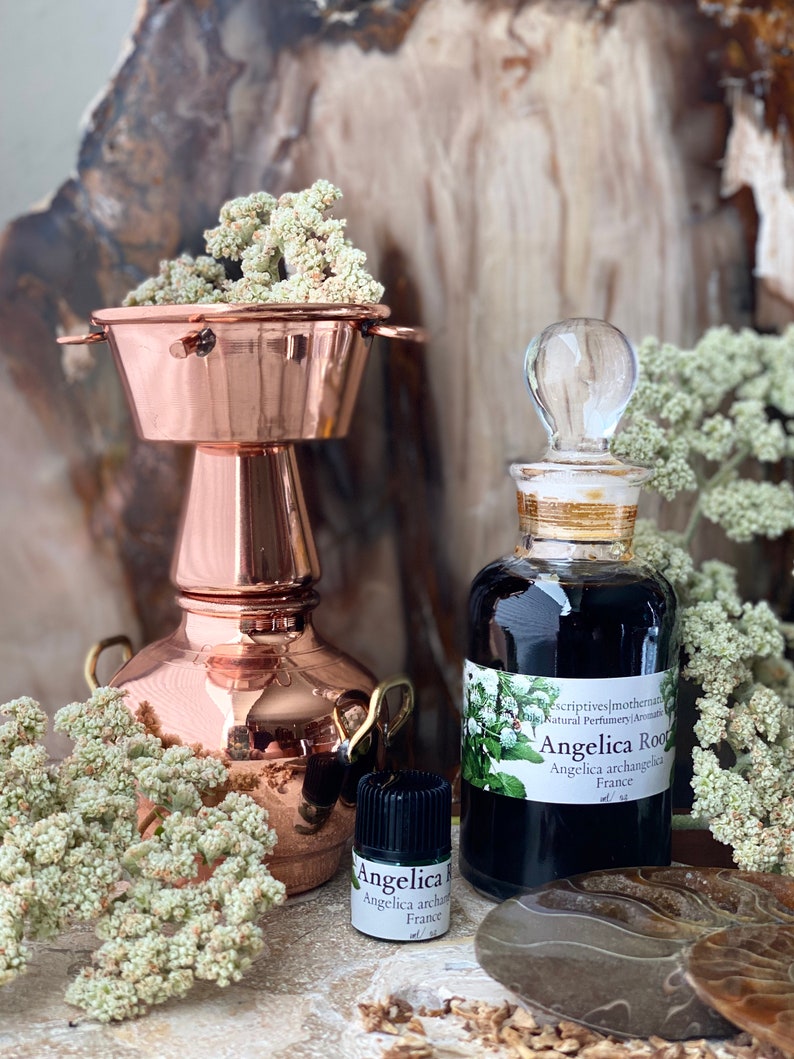 May include: A copper still with a small bottle and a larger bottle of Angelica Root essential oil. The bottles have labels with the text "Angelica Root" and "Angelica archangelica France". Dried flowers surround the bottles.