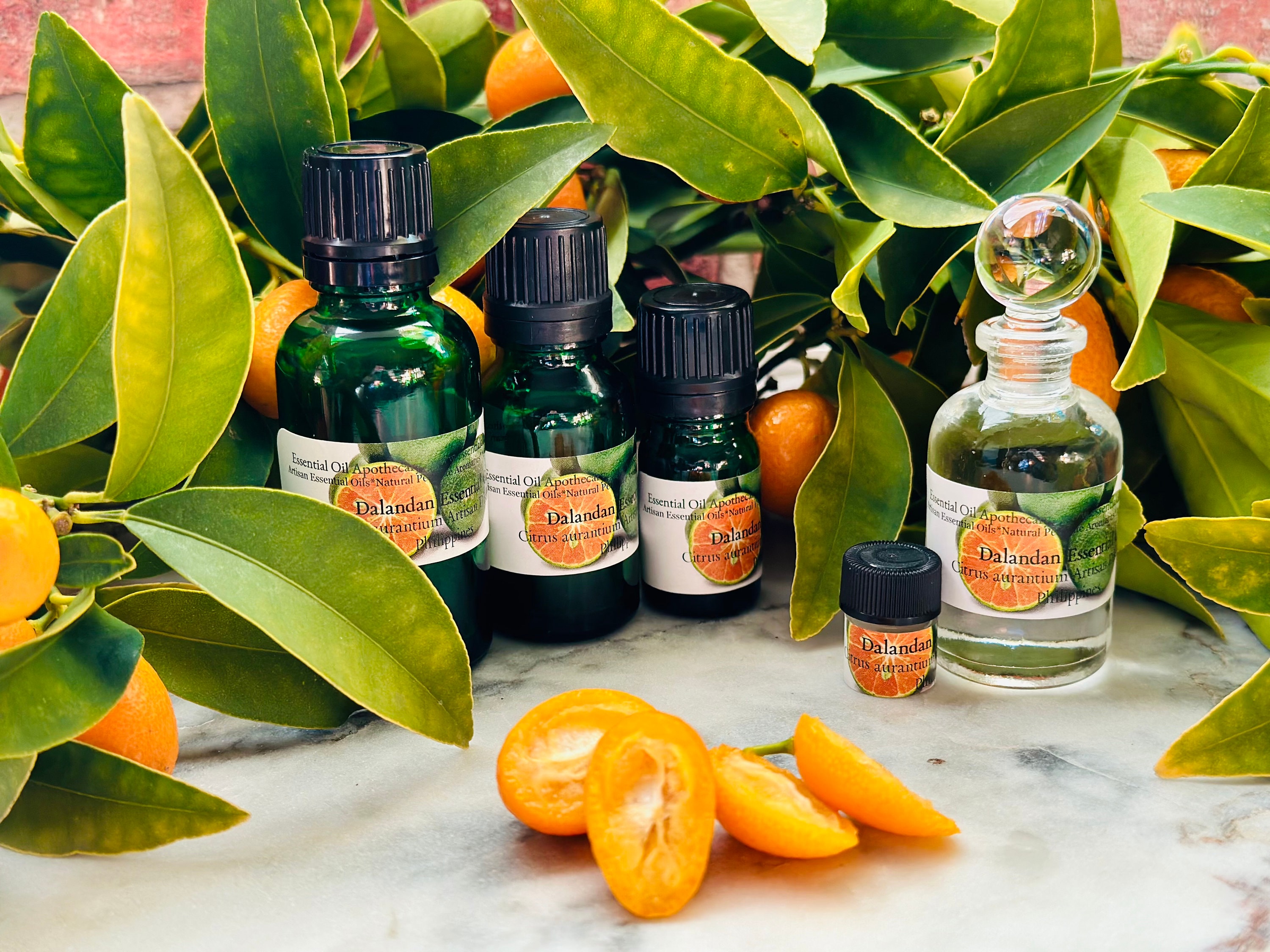 Notea Citrus Dalandan (citrus Aurantium) Essential Oil Filipino Orange Oil Small ...