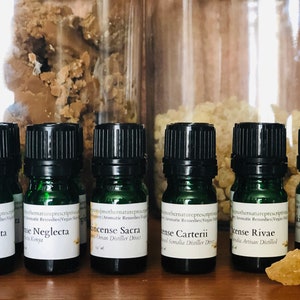 Frankincense Carterii Essential Oil Distiller Direct Boswellia carterii Immune Support Fresh Pine Burseraceae Incense Balsamic Spiritual 15 Milliliters