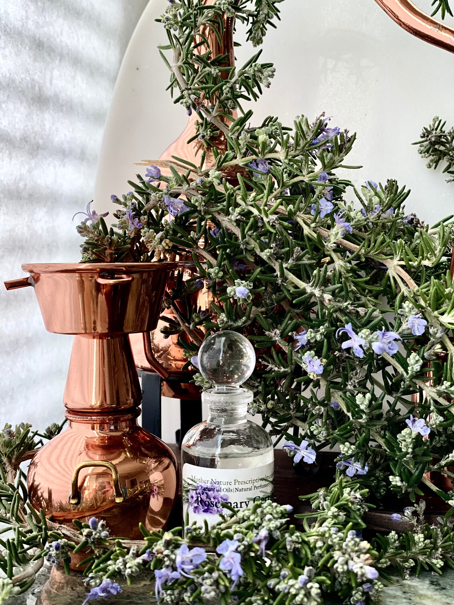 Rosemary Essential Oil Tunisia Certified Organic Rosmarinus Etsy