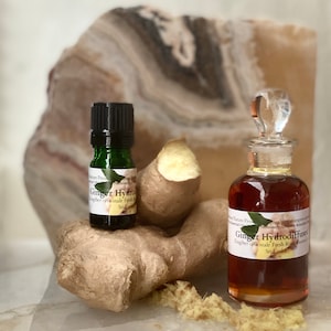 Ginger Root Essential Oil Zingiber officinale Organic Ginger Hydro Diffused  Sri Lanka Srngaveram Gyin Halia Tumeric Galangal Cardamom