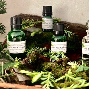 Western Red Cedarwood Essential Oil Thuja plicata Canada Coast Salish Sacred First Nations Earthy Woody Masculine Meditation Helps Alopecia