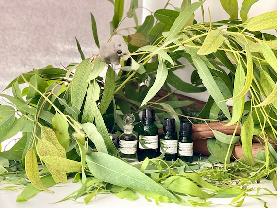 Green notes essential oils clearance