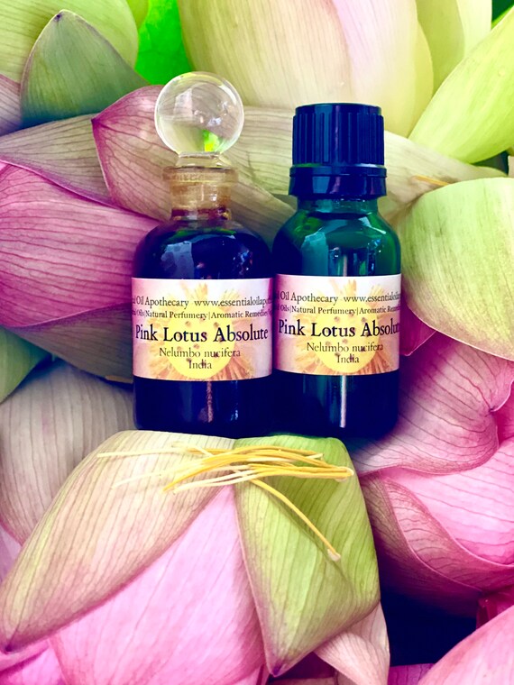 Buy Pink Lotus Absolute Oil Hexane Free Nelumba Nucifera Sacred