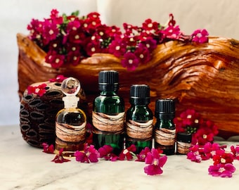 Aceite esencial de sándalo australiano Santalum lanceolatum Sándalo silvestre del norte Perfume dulce Incienso de meditación calmante Chandan Tan Xiang