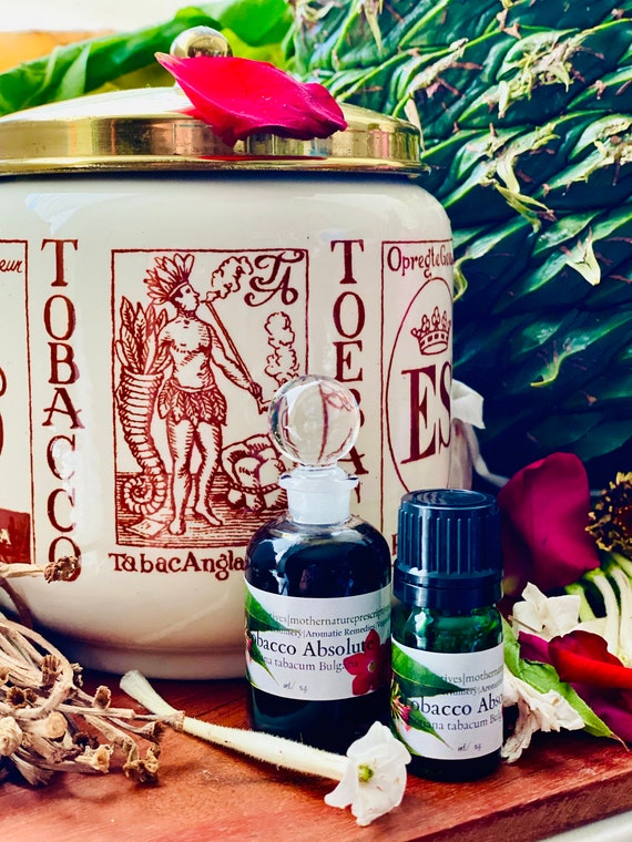 Tobacco Absolute Oil - Essential Oil Apothecary