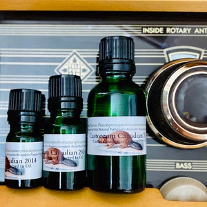 Op de afbeelding: Drie groene glazen flessen met zwarte doppen, met het label "Castoreum Canadian 2014 Extracted In Oil" met een beverafbeelding. De flessen zijn van verschillende formaten, tegen een vintage radio-wijzerplaat achtergrond. De tekst "INSIDE ROTARY ANTENNA" is zichtbaar.