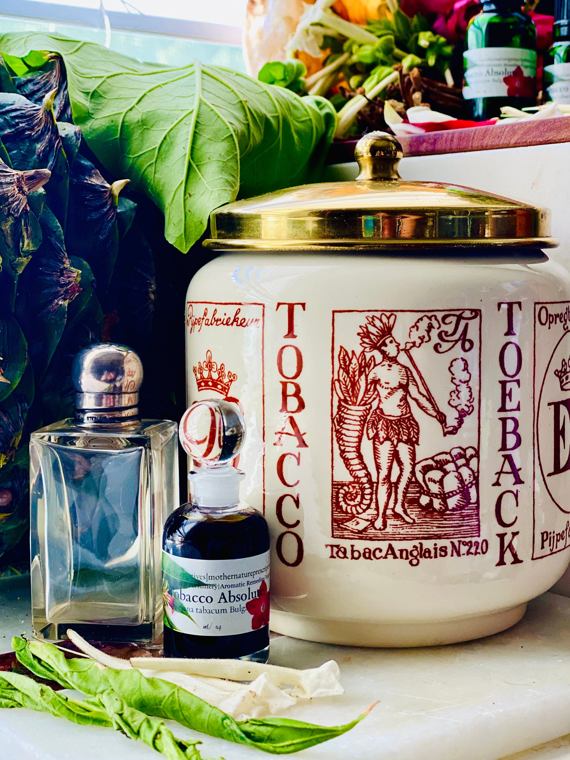 Tobacco Absolute Oil Nicotiana Tabacum Bulgaria Thick Leather and Smoke  Aroma Masculine Dry Cigar Notes Aged Oriental Blends Pure